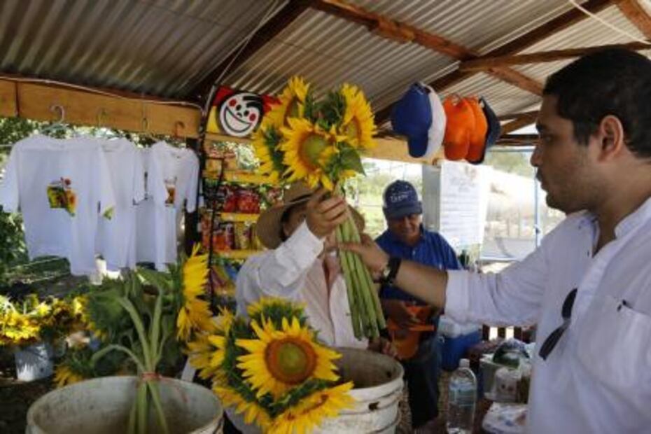 Santuario de los girasoles, industria atractiva