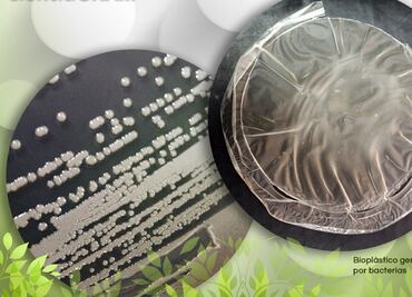 Desarrollan materiales médicos a partir de bioplásticos en la UNAM