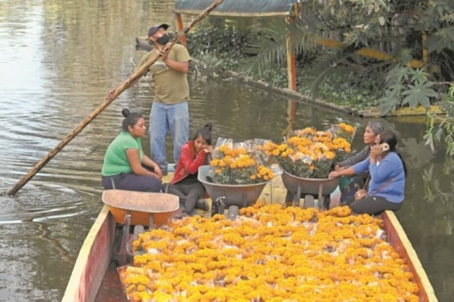 El Covid-19 no marchita el cultivo de cempasúchil