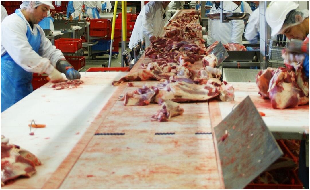 Gobierno pretende importar carne de Argentina. Foto: Pixabay