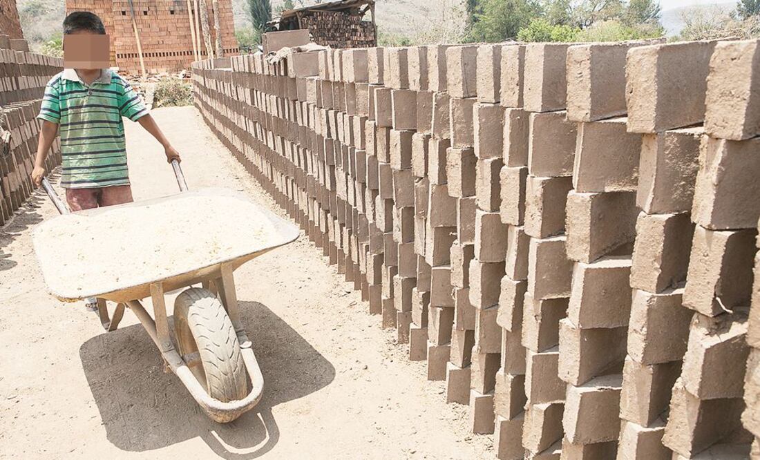 Alistan diagnóstico de explotación infantil