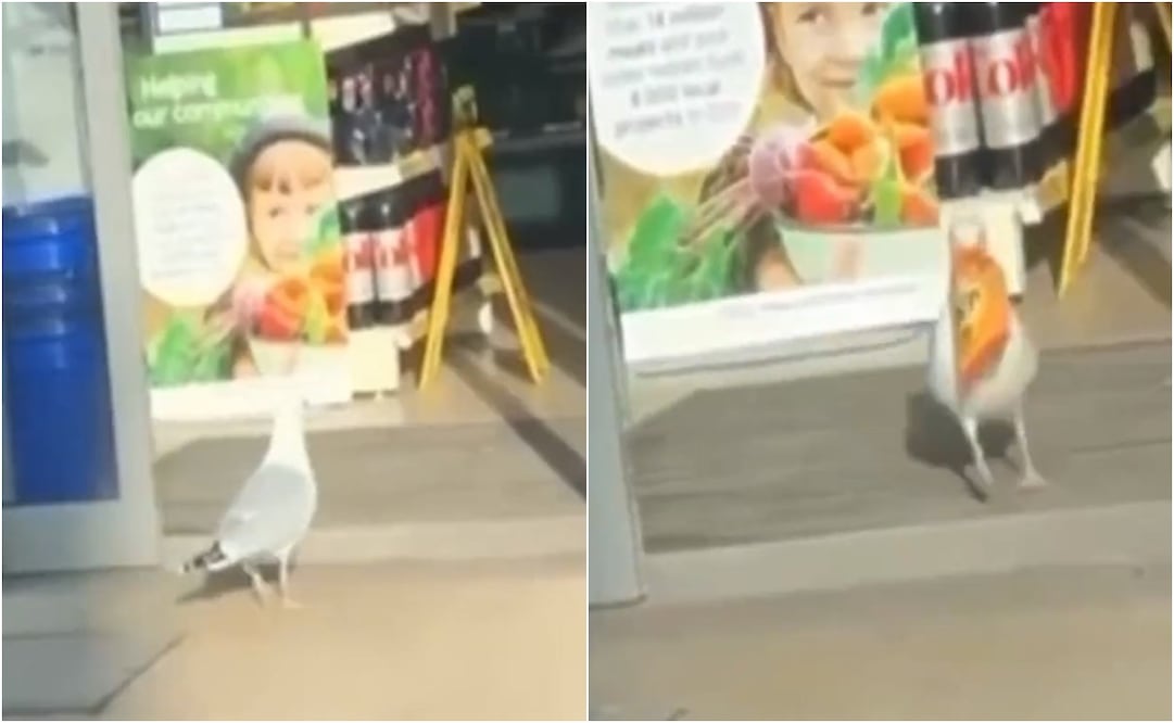 Foto: captura de video