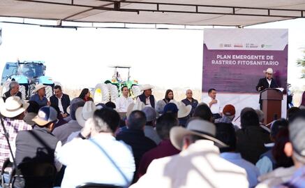 Inicia Plan Emergente de Rastreo Fitosanitario en Sonora; aportará 154 mdp para prevenir plagas