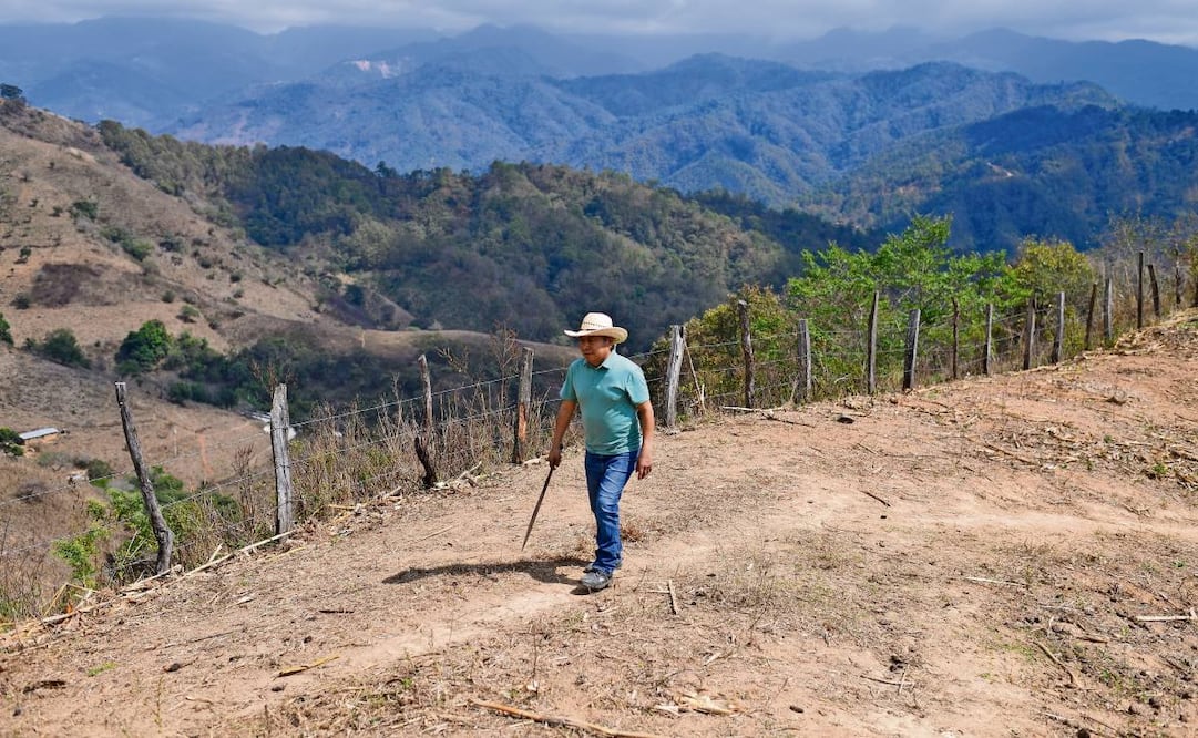 Desde que fue deportado, hace un año, Faustino recorre los cerros de su comunidad, El Carrizal, en el municipio de Tlacoapa, en la Montaña de Guerrero, en donde saca a pastar a sus vacas. Foto: Salvador Cisneros / EL UNIVERSAL
