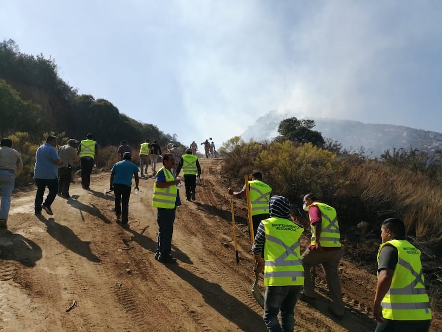 Foto: twitter @CNPC_MX