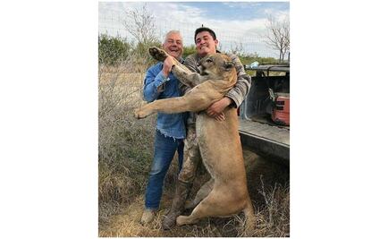 Denuncia Profepa presunta caza de puma en Nuevo León