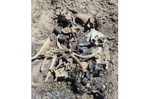 Buscadoras hallan 8 cráneos y osamentas, algunas calcinadas, en Tamaulipas; "es una zona de exterminio", acusa colectivo