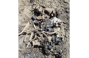 Colectivo "Amor por los Desaparecidos" en Tamaulipas, descubre zona de exterminio en Reynosa; hallan 8 cráneos y osamentas, algunos calcinados