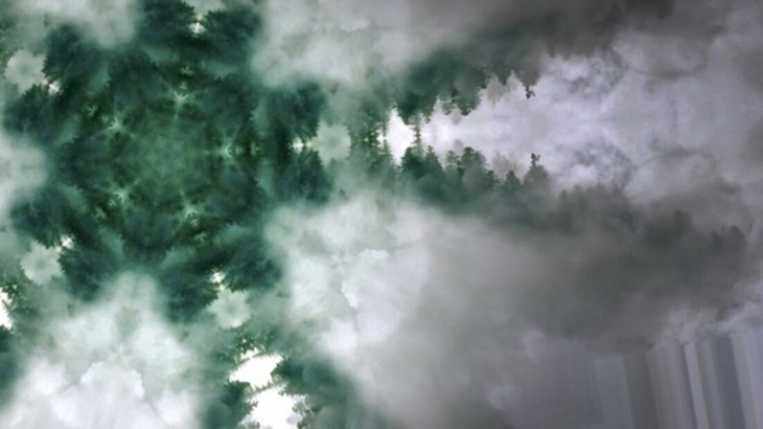 “El Bosque” de luz, arte inmersivo gratis en el Centro Histórico