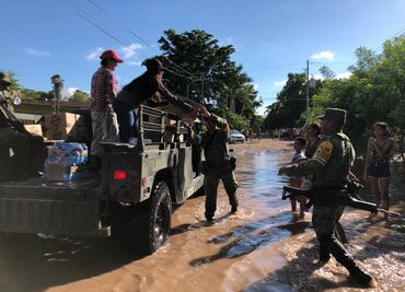 Lluvias afectan 20 mil hectáreas de cultivos en Sinaloa