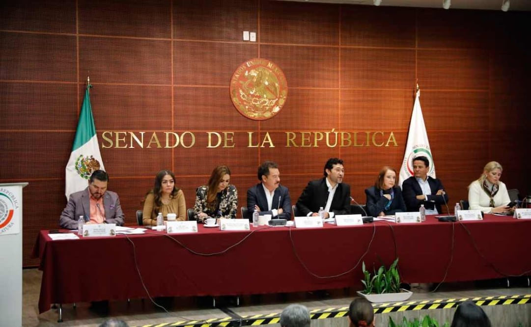 El secretario del Trabajo y Previsión Social (STPS), Marath Bolaños, participa esta mañana en la reunión plenaria del grupo parlamentario de Morena. Foto: Especial