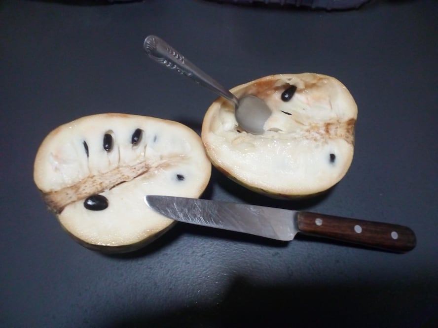 Foto: Wikimedia Commons.