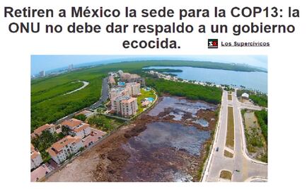 Protests over destruction of Tajamar mangrove swamp grow