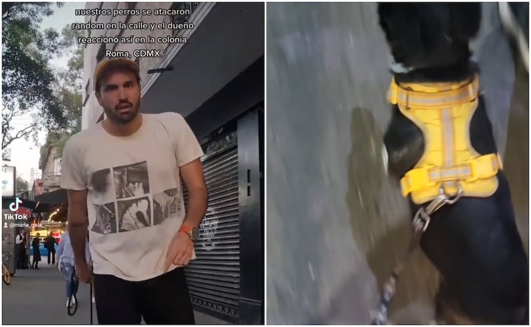 Una joven exhibió al dueño de un perro que le reclamó porque su perro fue atacado por su mascota.  / Fotos Tomadas de Twitter
