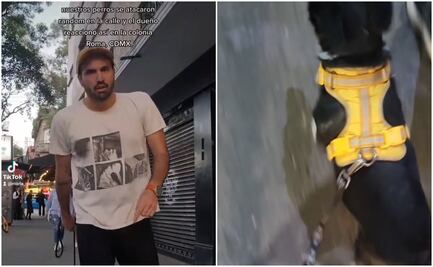 VIDEO: Exhibe a sujeto que la agredió por pelea de mascotas en la Roma, y se viraliza