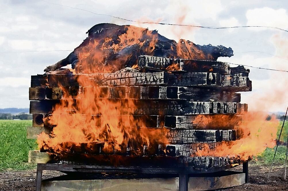 En la gráfica se reproduce una pira similar a lo que supuestamente ocurrió en el basurero de Cocula, con un cerdo de 70 kilos y tras la incineración quedaron restos (FOTO TOMADA DE REVISTA SCIENCE)