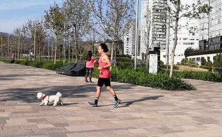 Cuajimalpa reporta "alta afluencia" en parque La Mexicana pese a restricciones por Covid-19