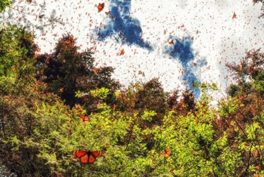 Llegó el Otoño. Mitos, fenómenos naturales y celebraciones de la temporada