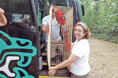 NAICM perjudicará a 200 mil aves