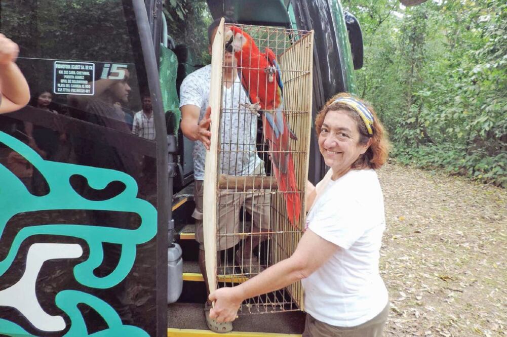 Patricia Escalante Pliego es investigadora del Instituto de Biología de la Universidad Nacional Autónoma de México. (ESPECIAL)