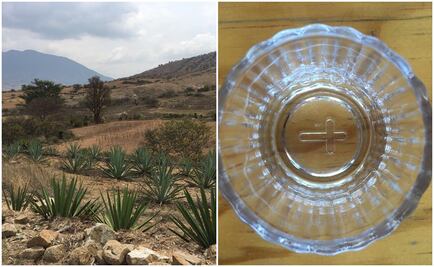 Académicos, productores y gestores mezcaleros comparten propuestas