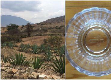 Académicos, productores y gestores mezcaleros comparten propuestas