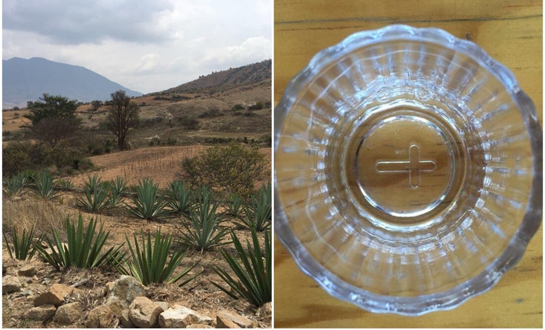 Fotos: Mariana Castillo