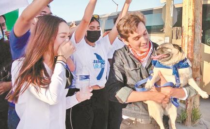 Se lleva reflectores perrita Pugberta, mascota de campaña 