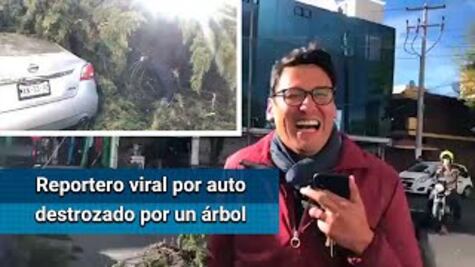 Qué hay detrás del reportero con el auto destrozado por un árbol
