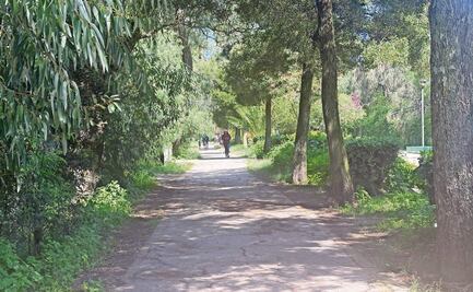 Avalan plan de manejo para el parque Espejo de los Lirios