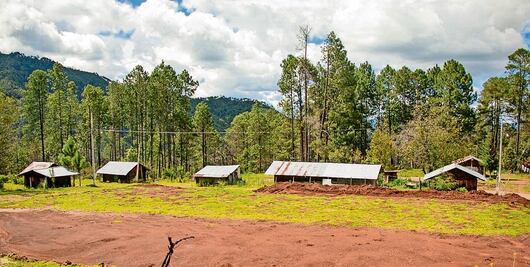 Ascienden a 15 las muertes por conflictos agrarios