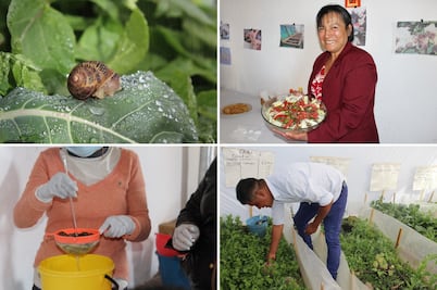 Conafor invierte 250 mil pesos en proyecto sustentable de caracoles