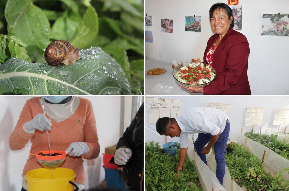 Fotos: Cortesía Conafor