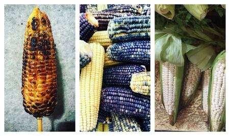 Ya llega la Feria Gastronómica del Elote de Milpa Alta 2019