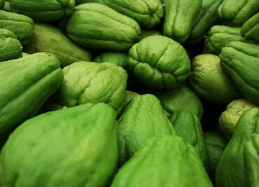 Estas son las propiedades curativas del chayote