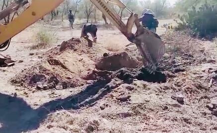 Hallazgo de restos en predio de Santa Ana son de unas cuatro personas, aseguran autoridades de Sonora