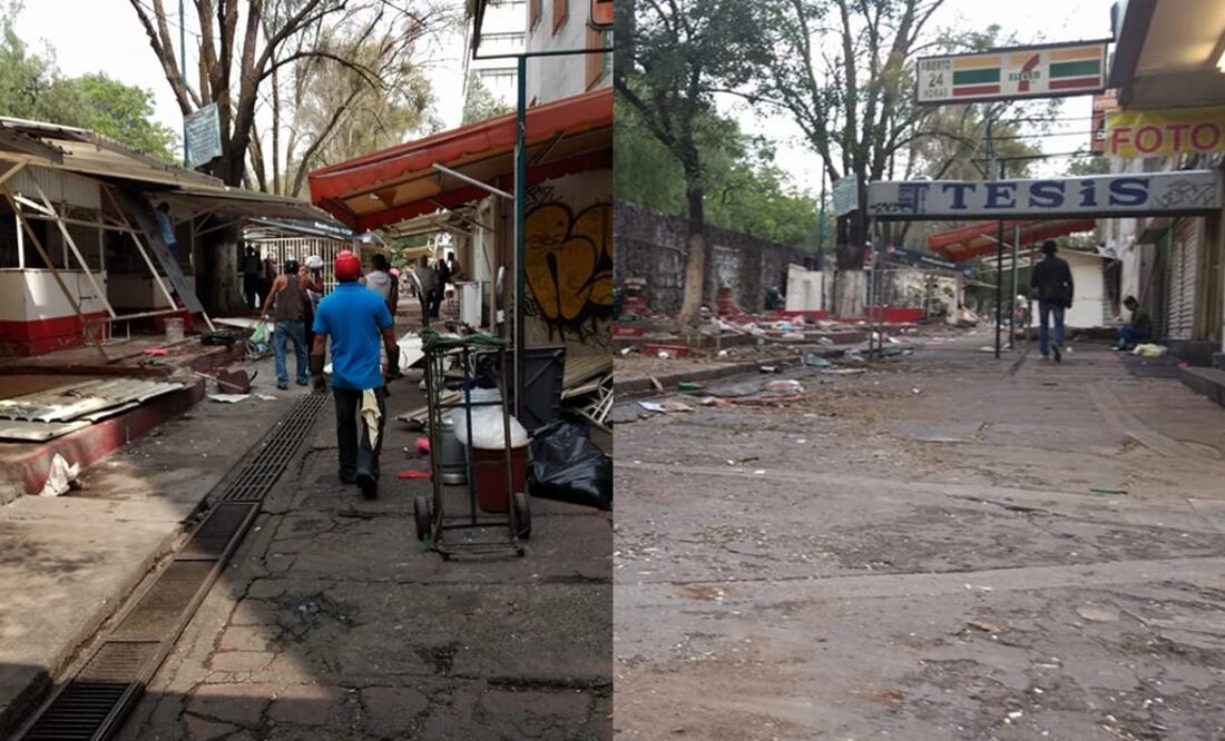 (Fotos: José David Martínez Cantera)