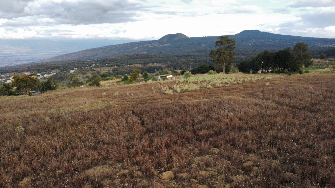 Terreno de la ULIM. Foto: Diego Prado