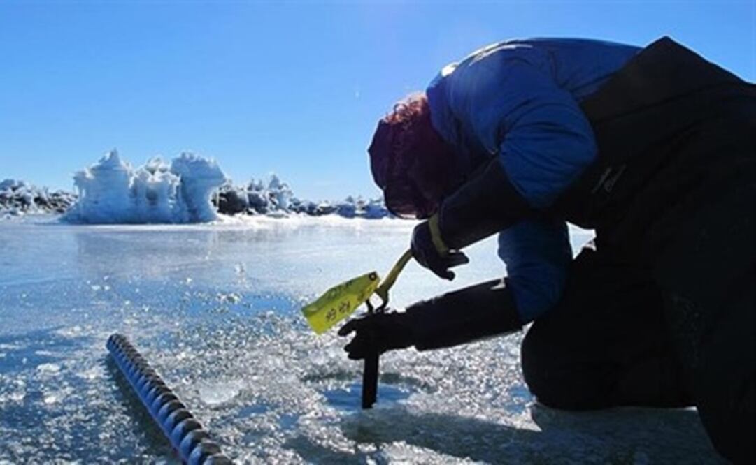 Imagen ilustrativa. FOTO: ALISON BANWELL