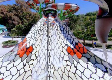 Cómo es el parque acuático Six Flags Hurricane Harbor