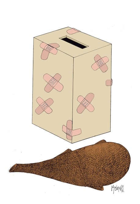 Cartón de KEMCHS