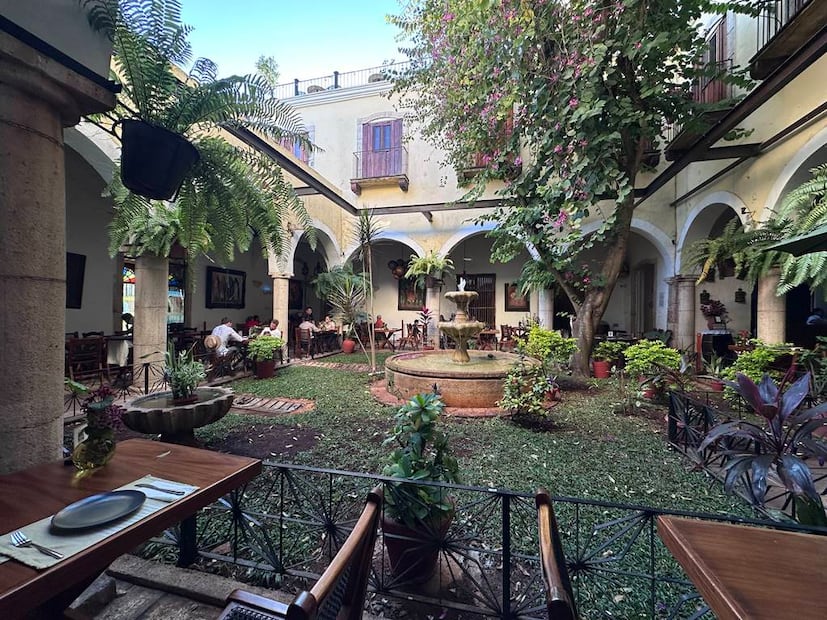 Foto: Omar Moreno. El Universal