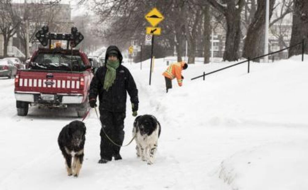 Toronto se empieza a recuperar de la mayor nevada de su historia
