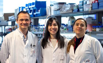 Esta hormona protege a las mujeres contra el cáncer de hígado 