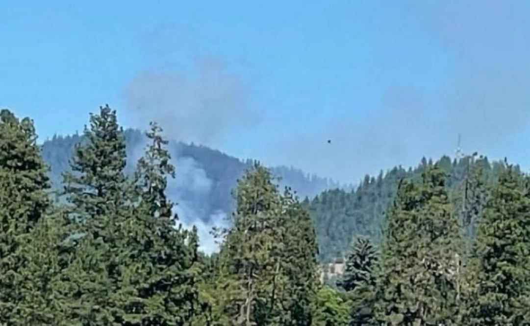 Reportan bomberos baleados mientras respondían a un incendio en Idaho (29/06/2025). Foto: Captura de pantalla