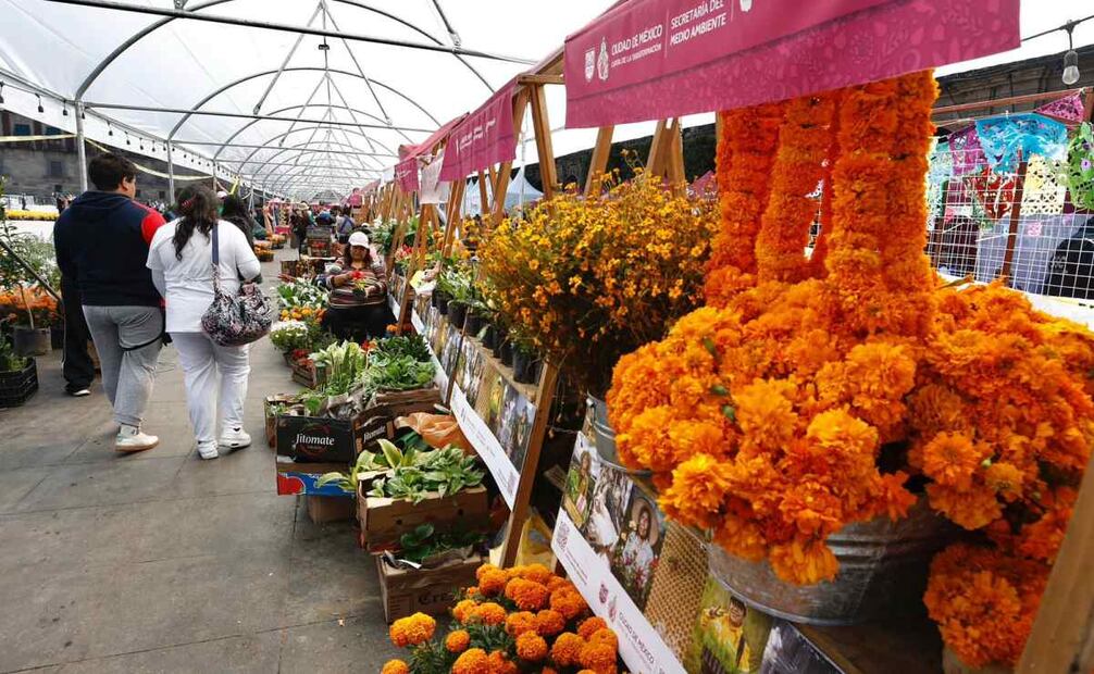 Diversos puestos ofrecen sus productos florales (27/10/2025). Foto: Berenice Fregoso / EL UNIVERSAL