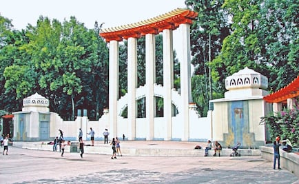 Celebra el Día Internacional del Gato en esta expo en el Parque México