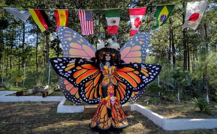 Llegan Mariposas Monarca a Michoacán; el estado se reporta listo para celebrar la “Noche de Muertos”