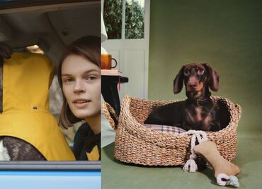 Lanzan la colección de ropa más fashion para perro