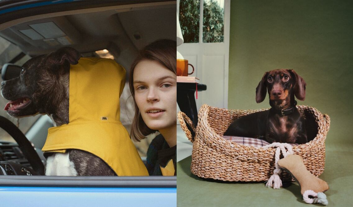 Estamos seguras que tu perro será todo un fashionista / Fotos Instagram Zara